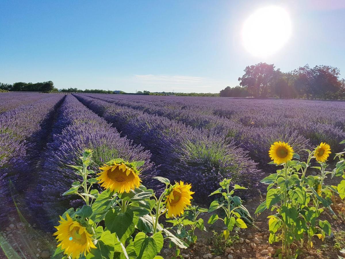 Villa Lavanda Trans-en-Provence Eksteriør billede